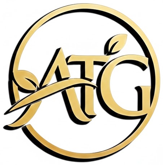 Aesthetics To Go logo - mobile clinical platform for aesthetic PAs